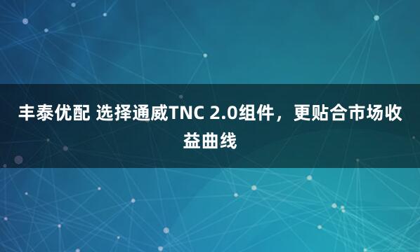 丰泰优配 选择通威TNC 2.0组件,更贴合市场收益曲线